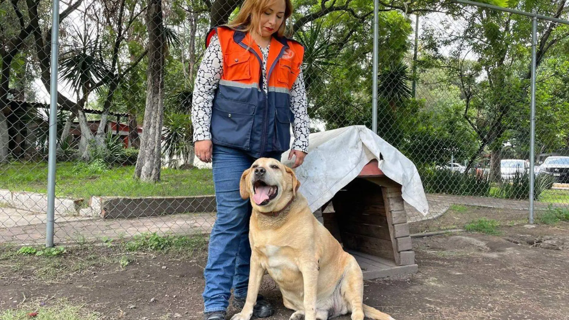 refugio de perros en central de abasto cdmx_03